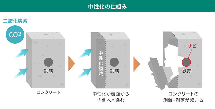 中性化のしくみのイメージ